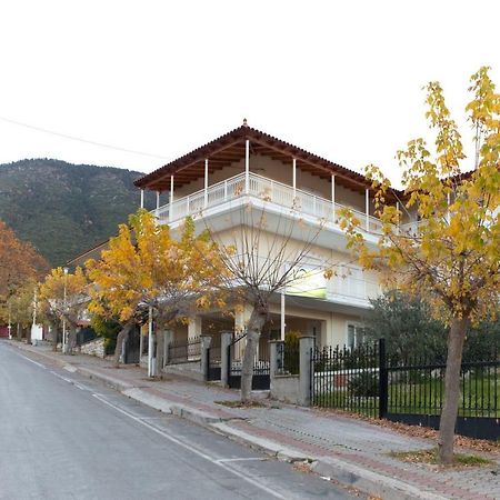 Villa Panorama Levidhion Bagian luar foto